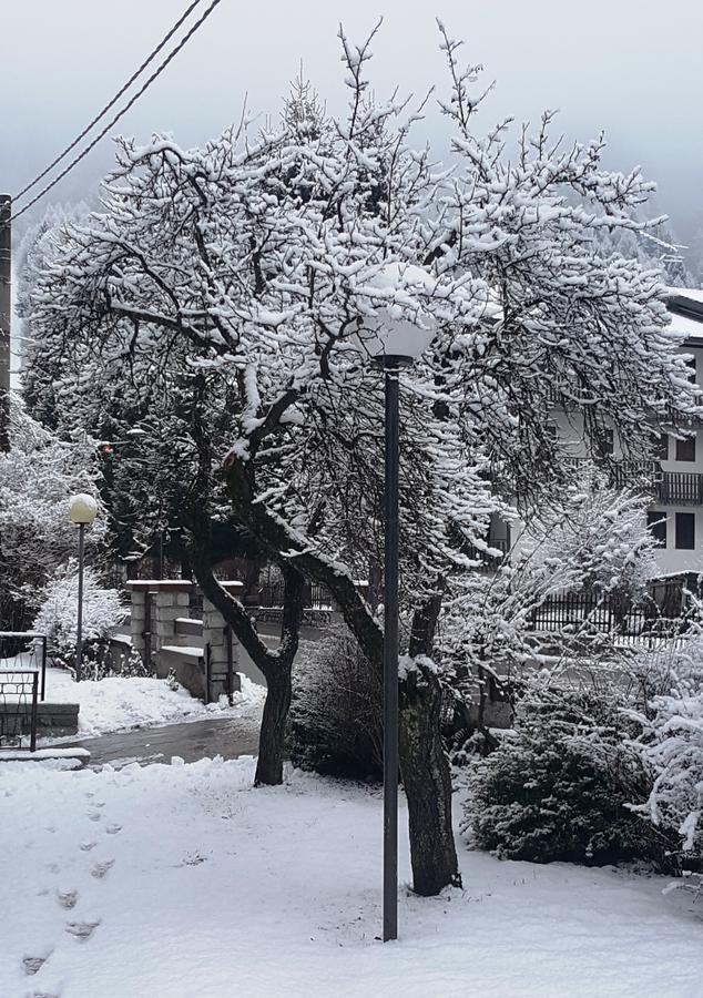 Hotel Pineta Ponte Di Legno Luaran gambar